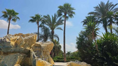 Oroklini Apartment | Mediterranean Sunrise Apartments A1