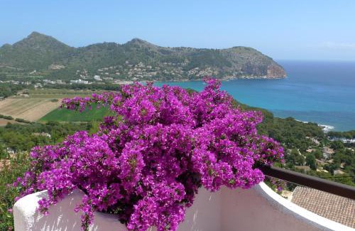 Capdepera House | Meervilla Mallorca - Charmantes Ferienhaus mit phantastischem Meerblick in Canyamel