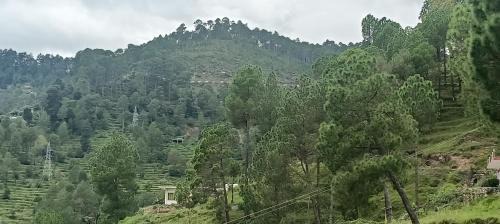 Almora House | Mehta homestay stay balta Almora