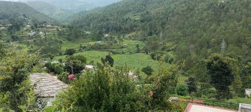 Almora House | Mehta homestay stay balta Almora