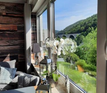 Ortsmitte Apartment | Meisters Schick im Stryck Willingen