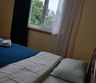 Mestia House | Melen-guest house