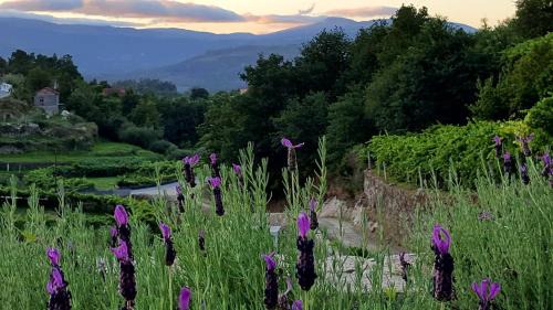 Melgaco House | Melgaço Alvarinho Houses
