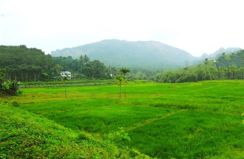 Vayittiri House | Merbella Greenstay