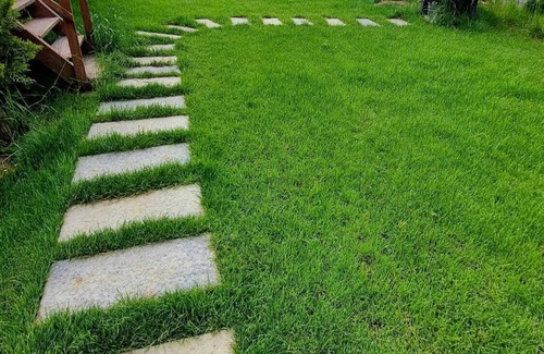 Sinop House | MERKEZDE DOGAYLA İÇ İÇE DENİZE 100 METRE MESAFEDE BUNGALOV.