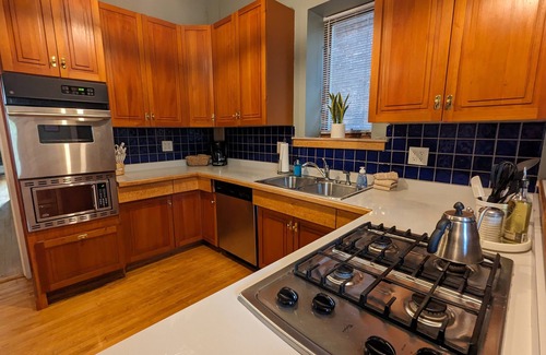 Downtown - Waterfront Condo | Mesaba 3 Lake View | Historic Condo