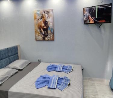Nea Mesagkala Apartment | MESAGGALA PALACE No 1