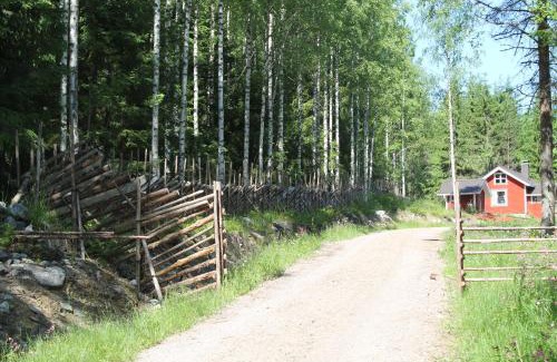 Koli National Park Ski Chalet | Metsäpirtti
