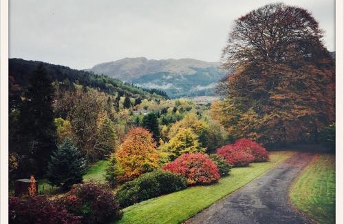 Strathyre Cabin | Mews Cottage Ardoch Lodge Strathyre