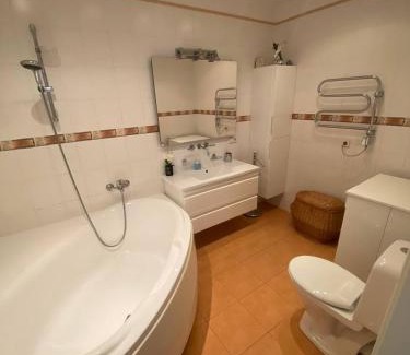 Plavniekkalns Apartment | Meza apartments