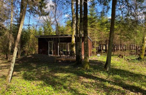 Kurtuvenai House | Miško sielos namelis su pirtele