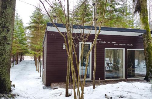 Kurtuvenai House | Miško sielos namelis su pirtele