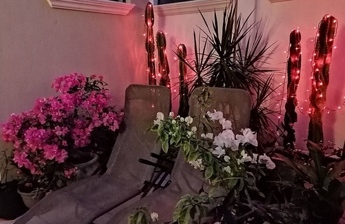 Zona Paseo Montejo Apartment | Mi Ca-Sa En Mérida