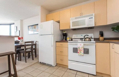 South Loop Condo | MICH AVE #23 2bd/2ba Downtown, Museums w/Views