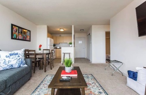 South Loop Condo | MICH AVE Downtown, Grant Park, Museums #25 2bd/2ba