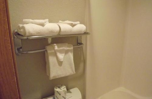 Ames Hotel | MICROTEL Inn and Suites - Ames