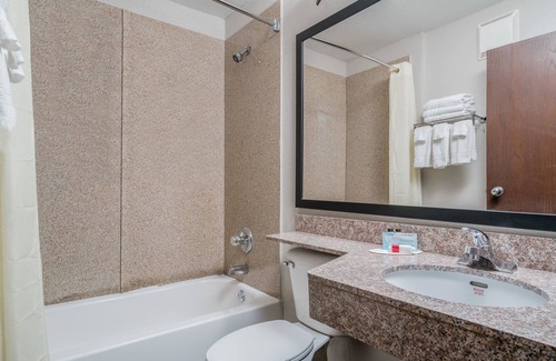 Rochester Hotel | Microtel Inn & Suites by Wyndham Rochester North Mayo Clinic