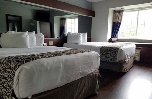 London Hotel | Microtel Inn & Suites by Wyndham London