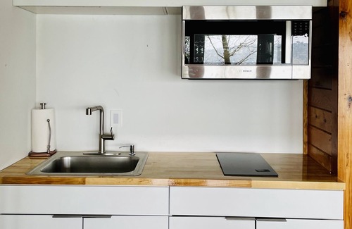 Ithaca House | Mid-Century modern Lakeview Stay