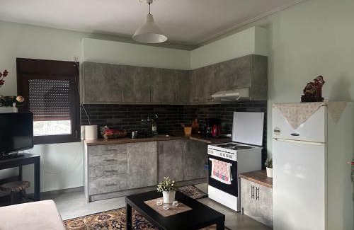 Kastraki Apartment | Mikio Guest House