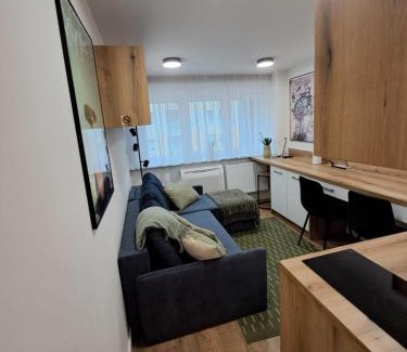 Legnica Apartment | Mikrokawalerka w ścisłym centrum