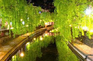 Kinosaki Onsen Hotel | Mikuniya