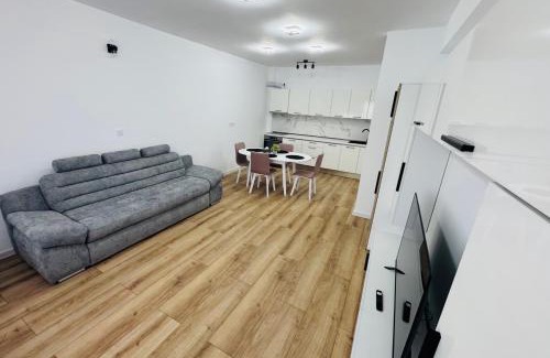 Corunca Apartment | Milan Luxury Apartaments XIII#Tudor