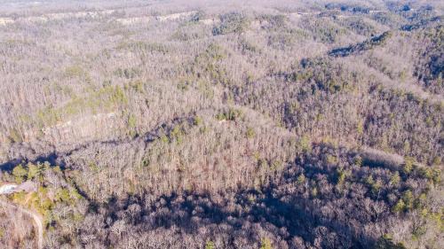 Pine Ridge House | Mill Creek Point
