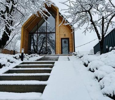 Sovata Villa | MILLAR's