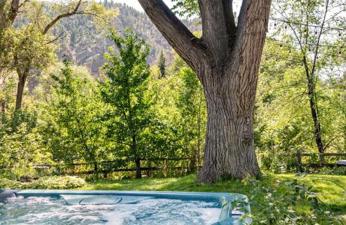 Glenwood Springs House | Million Dollar Creekside Treehouse Hottub Rafting Hiking Fishing and Mins to Glenwood and Hotsprings