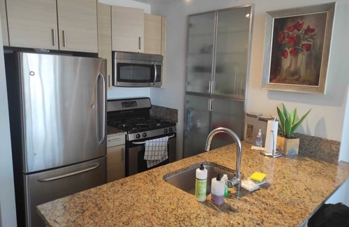 Midtown Apartment | Million dollar view spacious 1bed in prized location. Floor to ceiling windows.