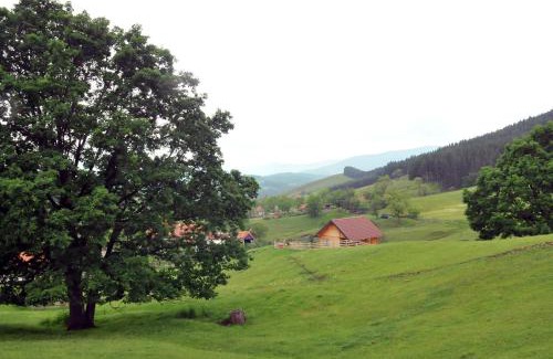 Central Serbia Ski Chalet | Milošev vajat - Miloš's cottage