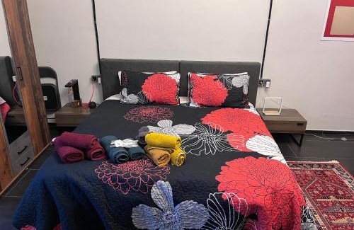 Vercelli Apartment | Minardi Apartments