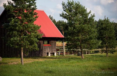Telsiai House | Minavuonė - aštuonvietis namelis