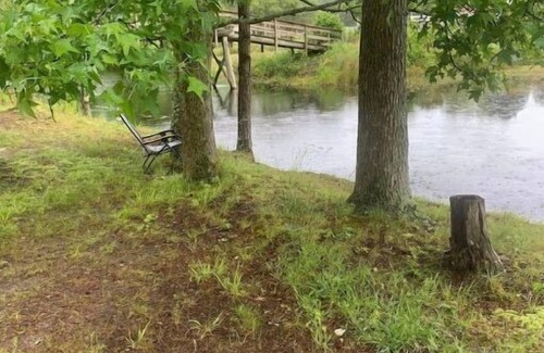 Allen Cabin | Mini Cabin 2 Near Ocean City & Assateague On catch and release fishing lake