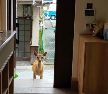 Nara House | Mini inn Nara - Naramachi historic district - 英語予約限定