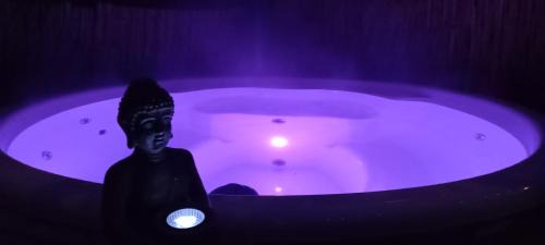 Figeac House | Mini maison tiny house et son bain nordique