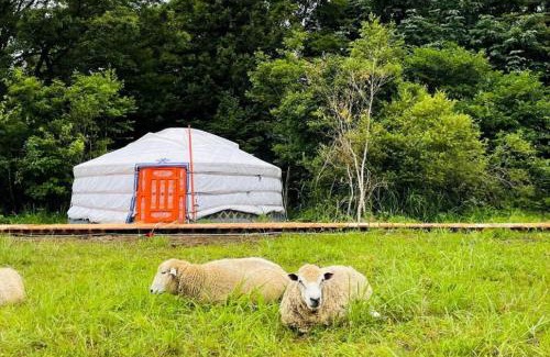 Gujo Other | mini mongolia campsite - Vacation STAY 42128v