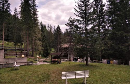 Selva di Cadore Apartment | Miniappartamento Dolomiti
