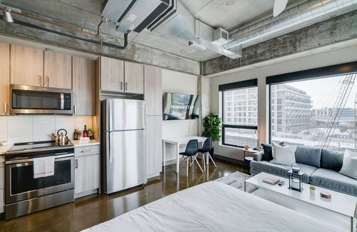 Warehouse District Apartment | MINNeSTAY* Sable 301 | Studio