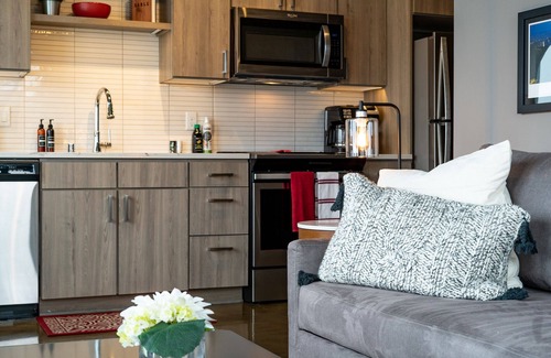 Warehouse District Apartment | MINNeSTAY* Sable 807 - One Bedroom | Skyline Views