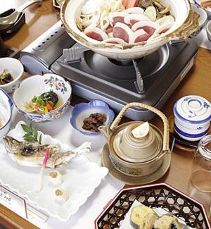Shinshiro Hotel | Minshuku Ryokan Kawai