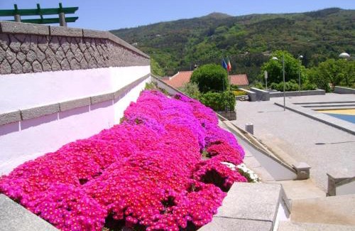 Monchique House | Miradouro da Serra