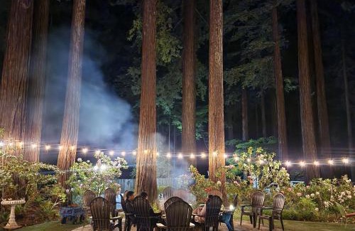 Myers Flat Hotel | Miranda Gardens Resort