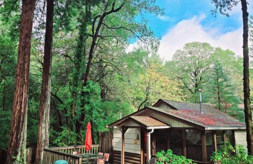 Myers Flat Hotel | Miranda Gardens Resort