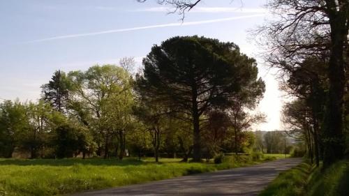 Lussan House | Mirelaure, Havre convivial au cœur de 32 hectares