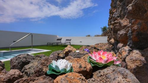 La Mancha Villa | Mireya home