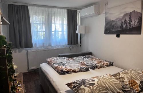 Sremski Karlovci Apartment | Mirka