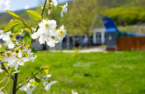 Azerbaijan Ski Chalet | Mirvari Aframe