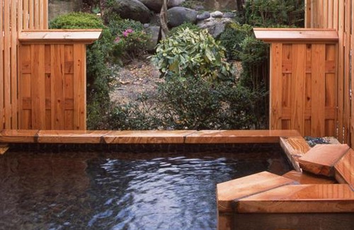 Hinagu Onsen Hotel | Misakitei